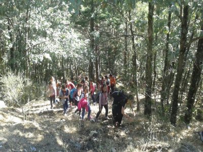 Campamento Náutico en Alcocebre 15 días