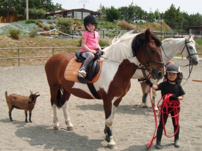 Pony ride for children in Tafalla