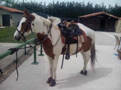 7h Horse riding route in las Merindades