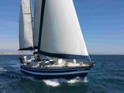 Sailing Regatta in Alicante Bay w. Snack