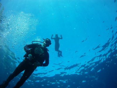 10 Diving dives in Benidorm with equipment