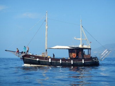 Ruta en barco en La Palma con Snorkeling y Comida