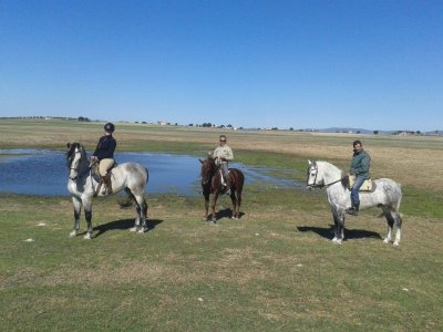 Despedida Soltero Ruta Caballo Tablas Daimiel 4h