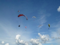 Various paraglides