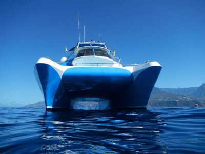 Paseo en barco fondo submarino en Tazacorte adulto