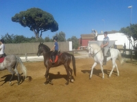 Jóvenes montando a caballo en el centro 