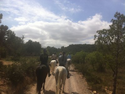 Horse riding route + Riding Lesson in Llíria