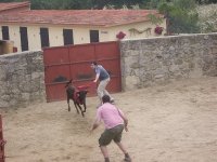  Capeas für Junggesellenabschiede in Granada 