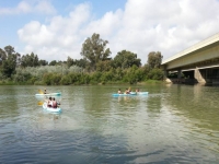  Kayaking next to the bridge 