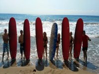 Todos con las tablas de surf