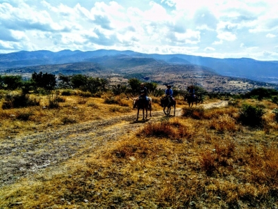 Ruta a Caballo 2hrs. por San Miguel de Allende