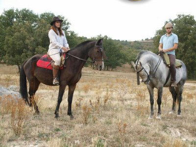 Ruta a caballo Torrelaguna 2h + clase de regalo