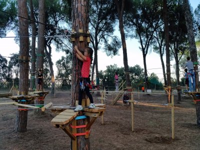 Parque en los árboles Bollullos colegios TB