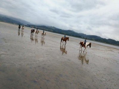 Reitroute Wälder und Strand von Laredo 1h