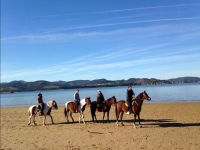 Paseo a caballo en la playa de Laredo, 1h