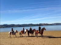  Passeio na praia 