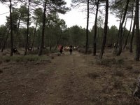  Passeggiate a cavallo attraverso la campagna 