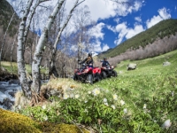  Profitant de la route en quad 