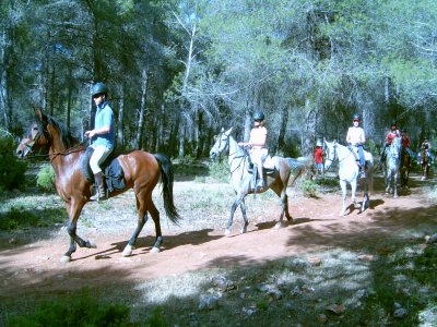 Ruta a caballo de Arroyo Molinos Cazorla 2h 30min