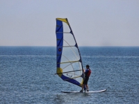  Professional windsurfing