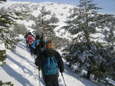 Snowshoes Cercedilla and night in bungalow