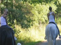 marcher avec les chevaux. 