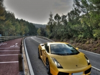 Drive a Lambroghini