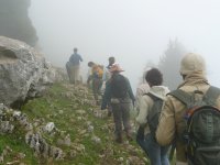 En la niebla