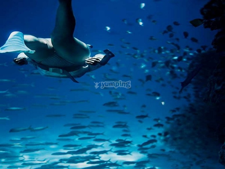 Descubre el fondo marino
