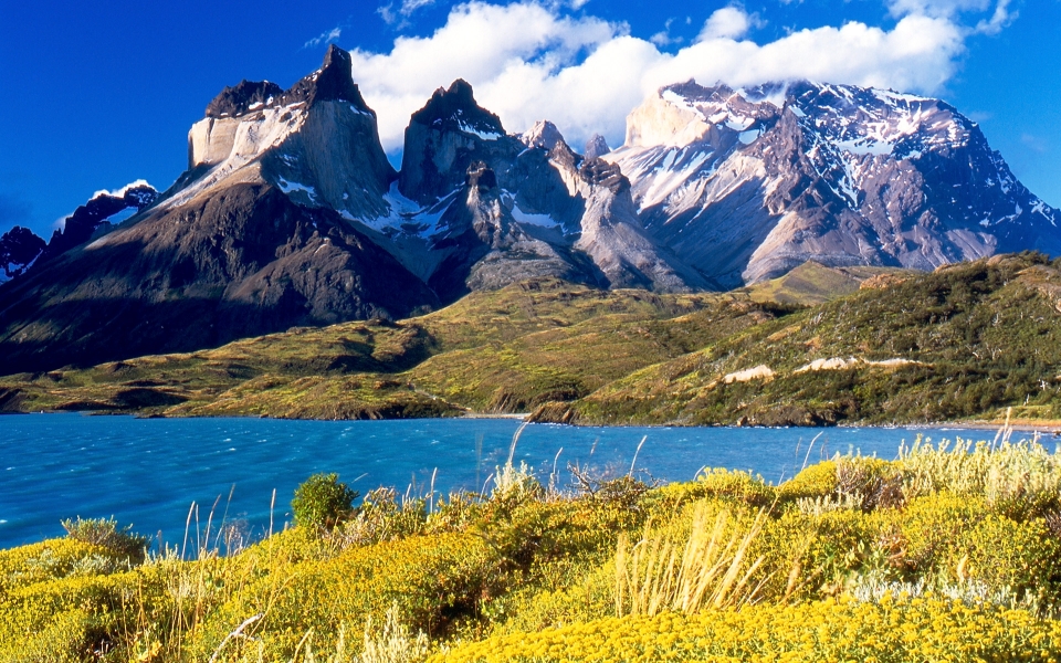 Torternera del Paine