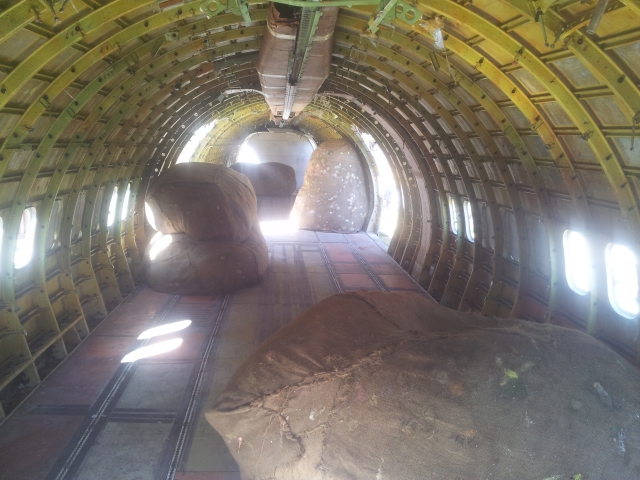 Dentro del avion 