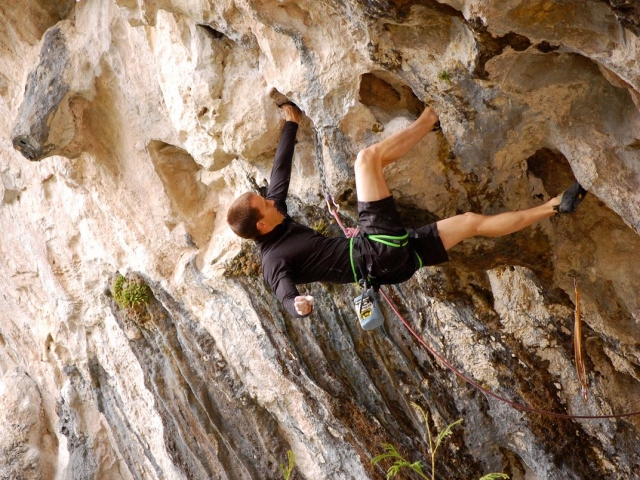 Profesional de la escalada