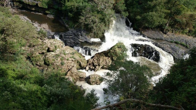 Las cascadas