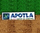 Apotla