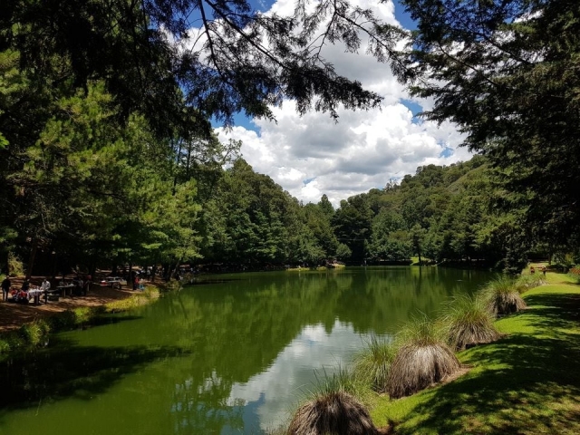 Areas verdes