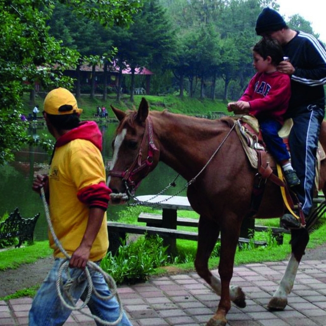 Paseo familiar