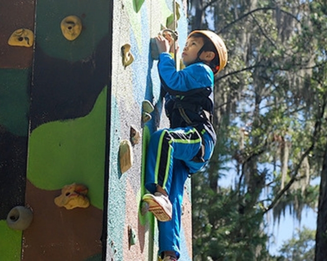 escalando el muro