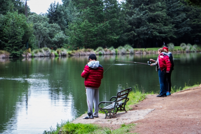 Pescando en el lago