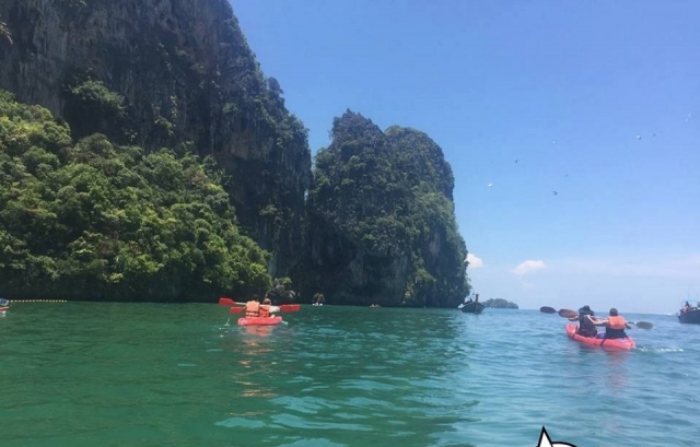 Navega por todos los lugaternera