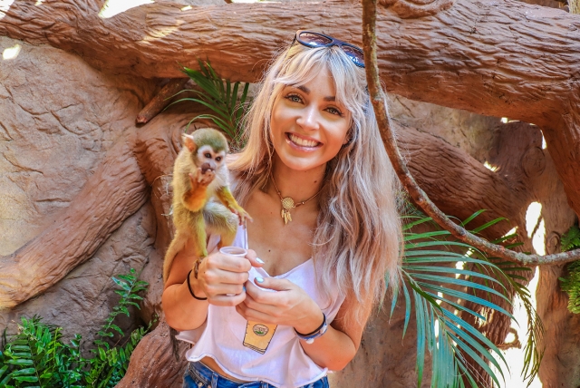 Conociendo animales de la jungla