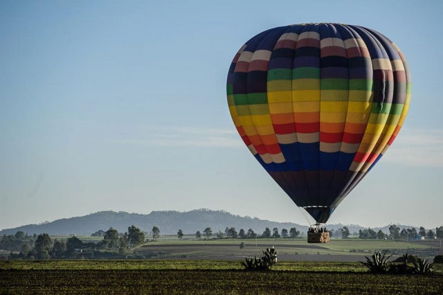 Los coloternera de la naturaleza