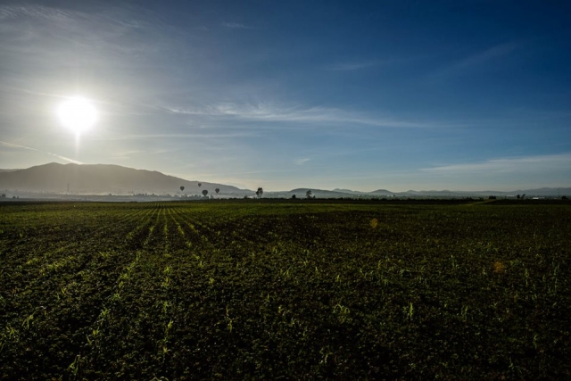 Definitivamente hermoso