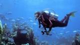 Buceo