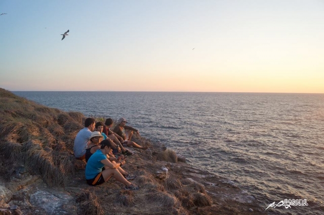 en enchufe con la naturaleza