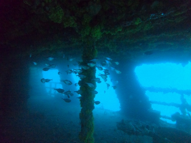 Banqueta de peces en ruinas