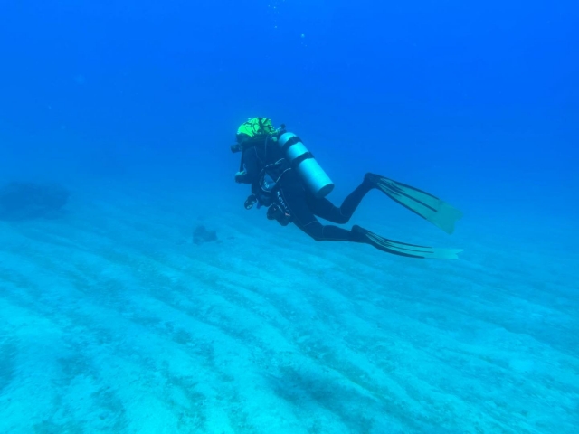 Cursos de buceo