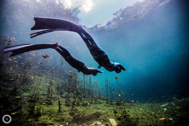 Apnea avanzado
