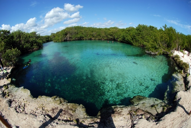Descubriendo la magia de los cenotes