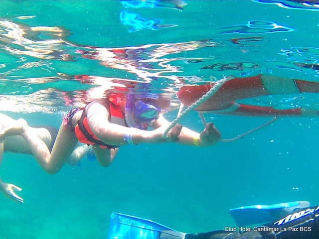 Snorkel