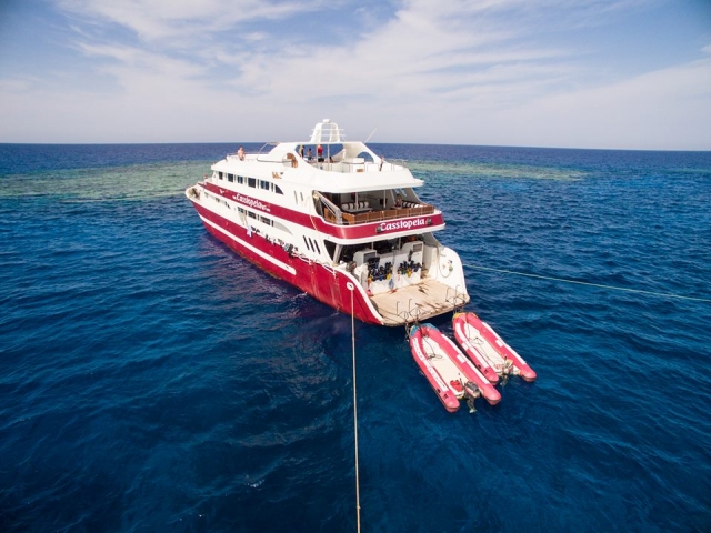 Nuestro barco para alquila